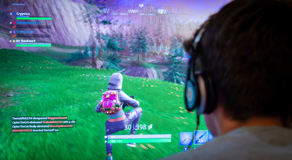 fortnite 1113538169