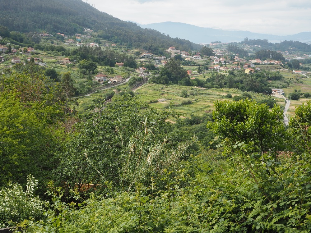 santiago 317