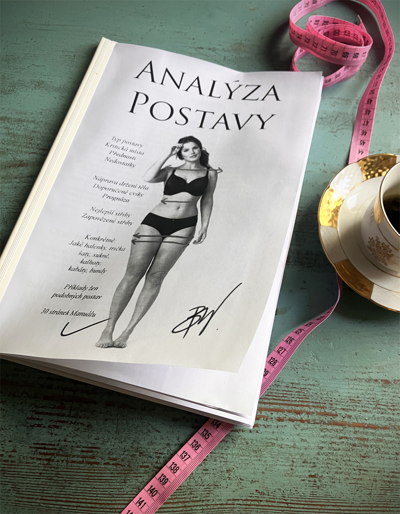 „Manuál k sobě samé". analyza postavyy titul 1
