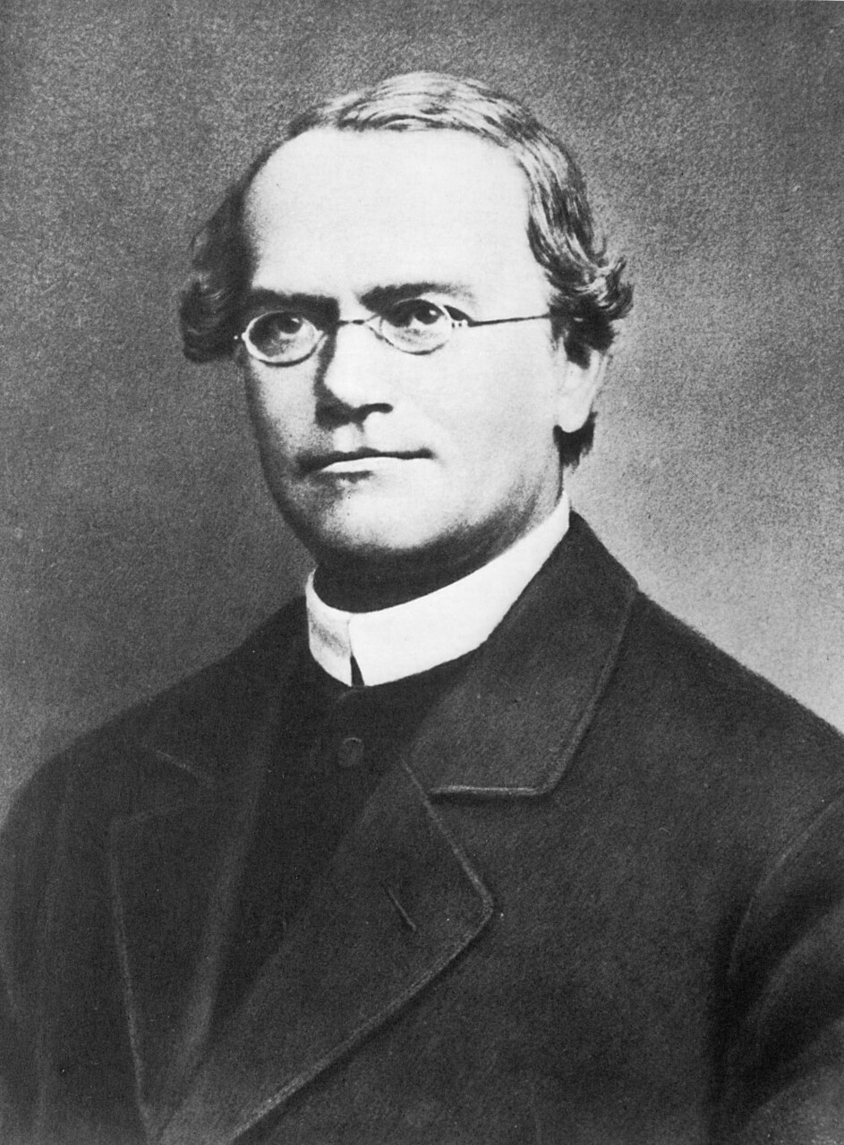 Gregor Mendel. gregor mendel 2 zdroj wikipedia min