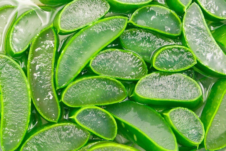 m shutterstock 1476341870