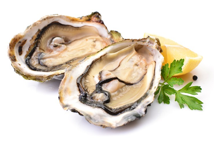 Ústřice jsou prý mocné afrodiziakum. Chápeme. (zdroj: Shutterstock) m shutterstock 1573306927