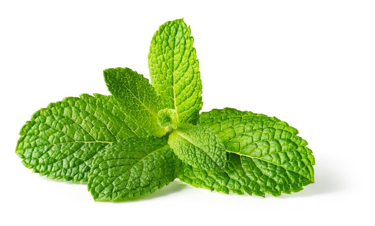 m shutterstock 1932623648
