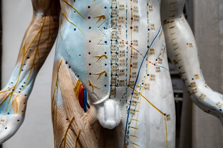 Detail akupunkturní figuríny. (zdroj: Shutterstock) m shutterstock 2384998303