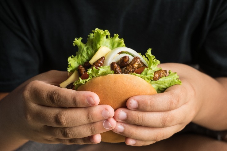 Hmyzí protein je považován za potravinu budoucnosti. (zdroj: Shutterstock) m shutterstock 539830786