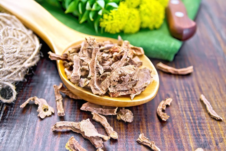 Rhodiola rosea (Rozchodnice růžová). m shutterstock 581968822