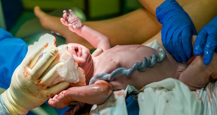 Placenta a pupečníková krev jsou zásobárnou léků, ušitých vám na míru. pupecnik