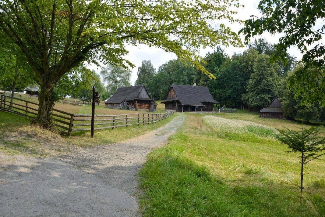 roznov