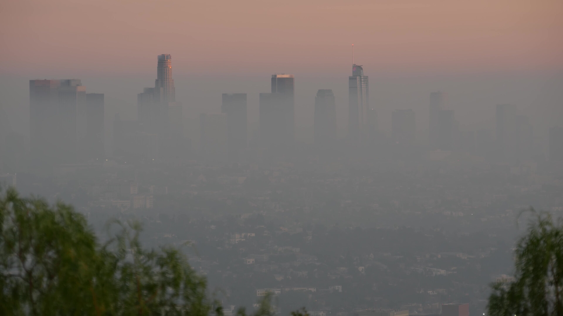 Los Angeles, Kalifornie. shutterstock 1862778658