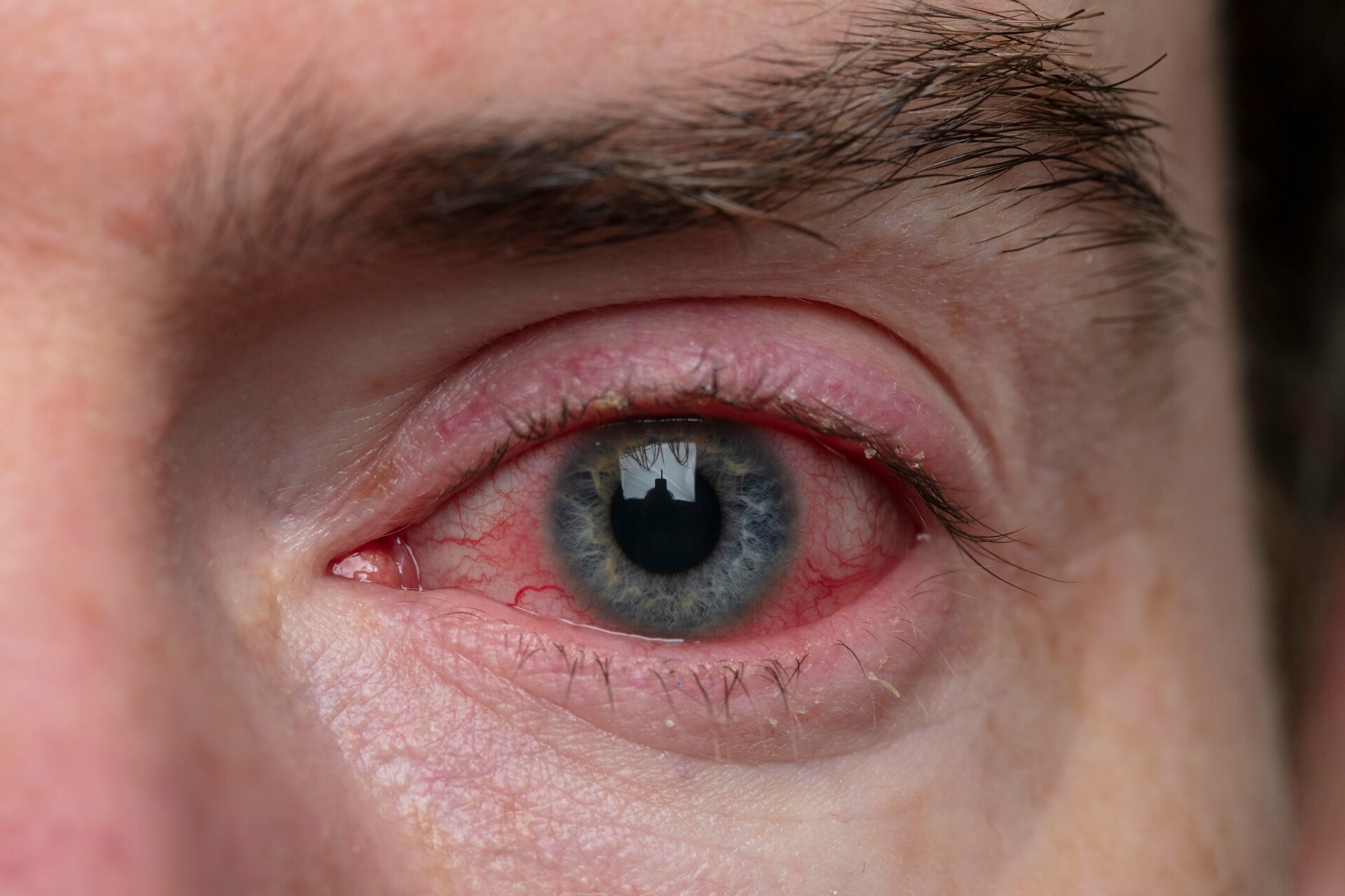 shutterstock zdroj 2