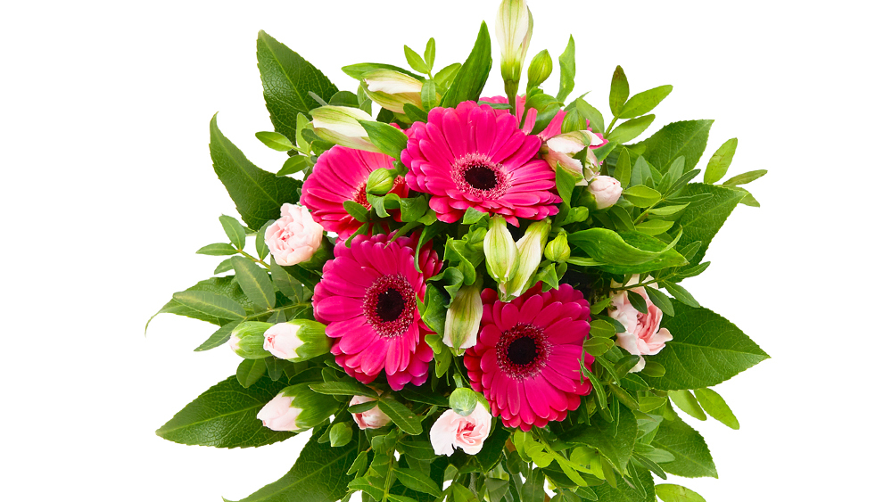 valentyn4