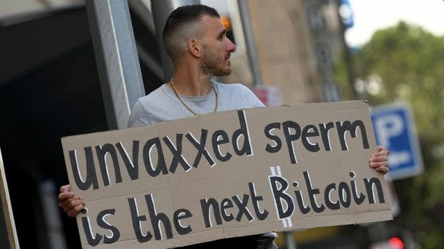 Foto: VICE crypto sperm us