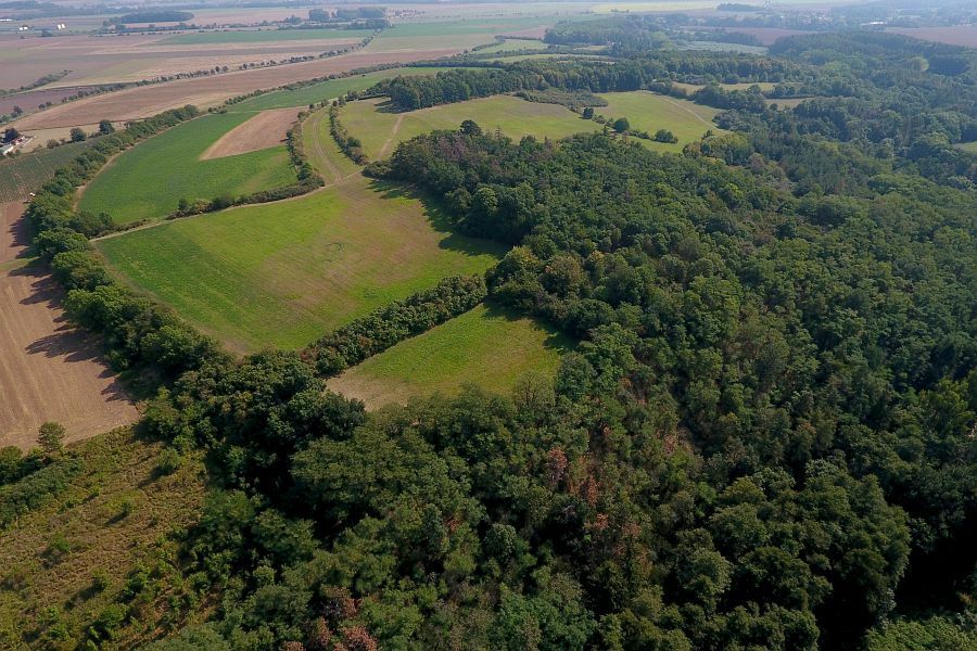 Hradiště Stará Kouřim (zdroj: Cestyapamatky.cz) stara kourim