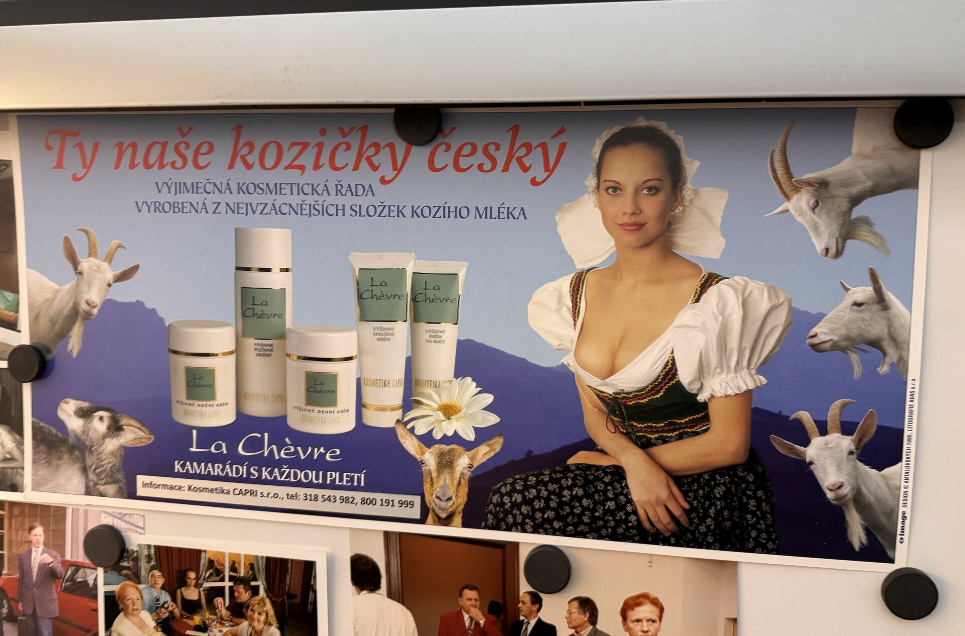 kozicky cesky