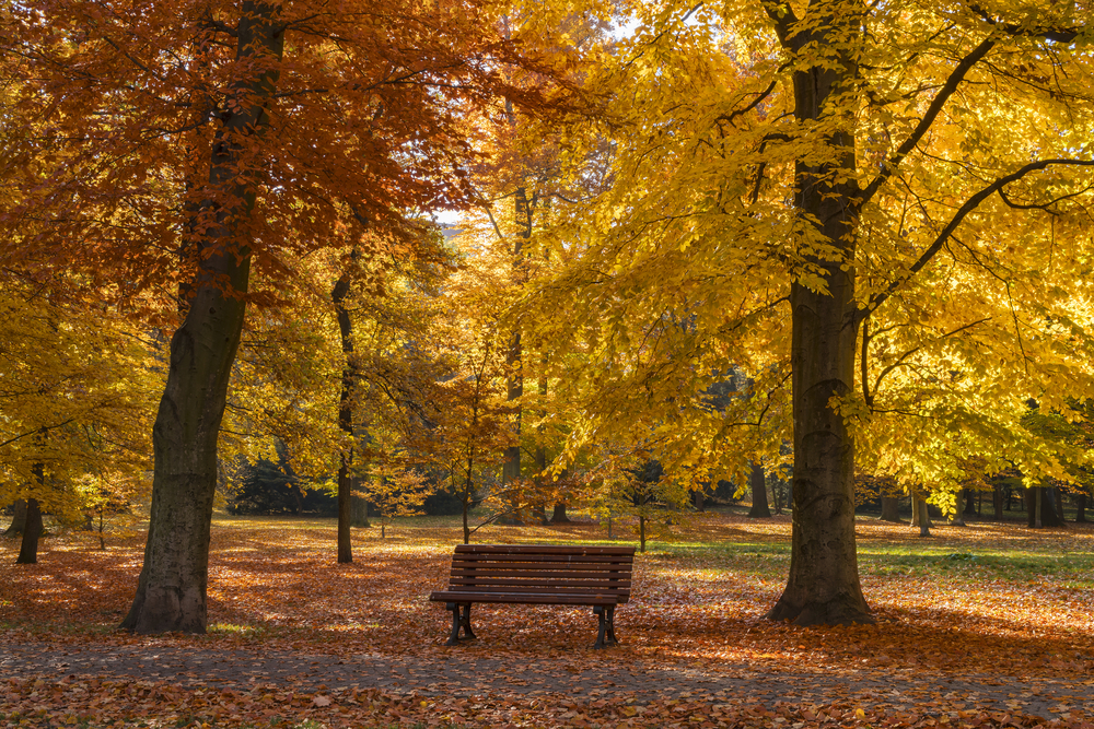 shutterstock 382170190