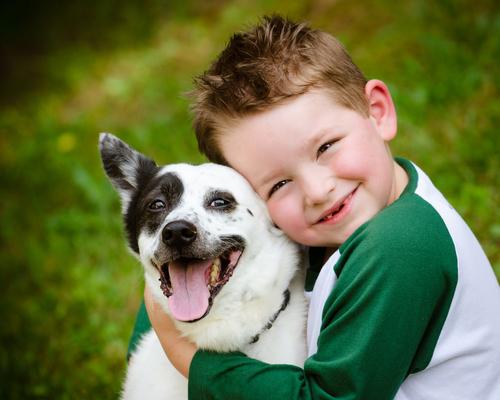 Dítě nejprve naváže vztah se zvířetem a přes něj si vytvoří vztah i k dalším lidem. canis terapie shutterstock 138867431