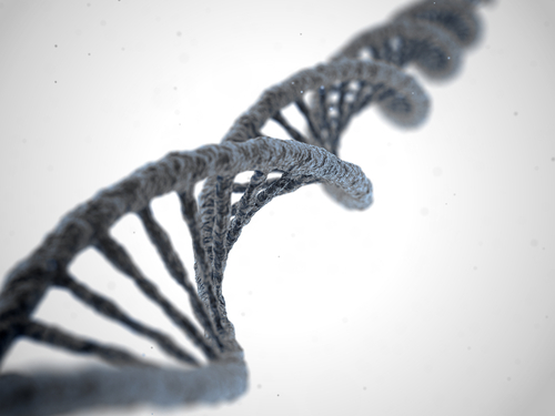 Škodlivé látky v ovzduší mají schopnost měnit DNA buněk shutterstock 577772179