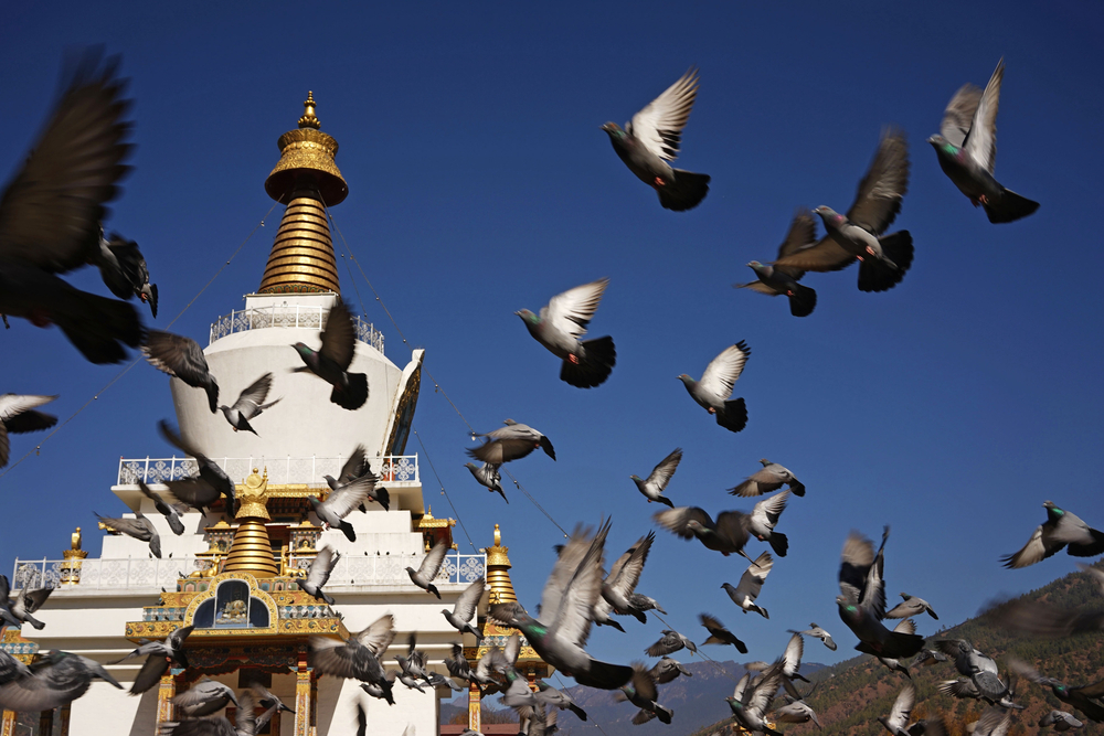 Český výzkum bude inspirován bhútánským modelem. bhutan shutterstock 542559787