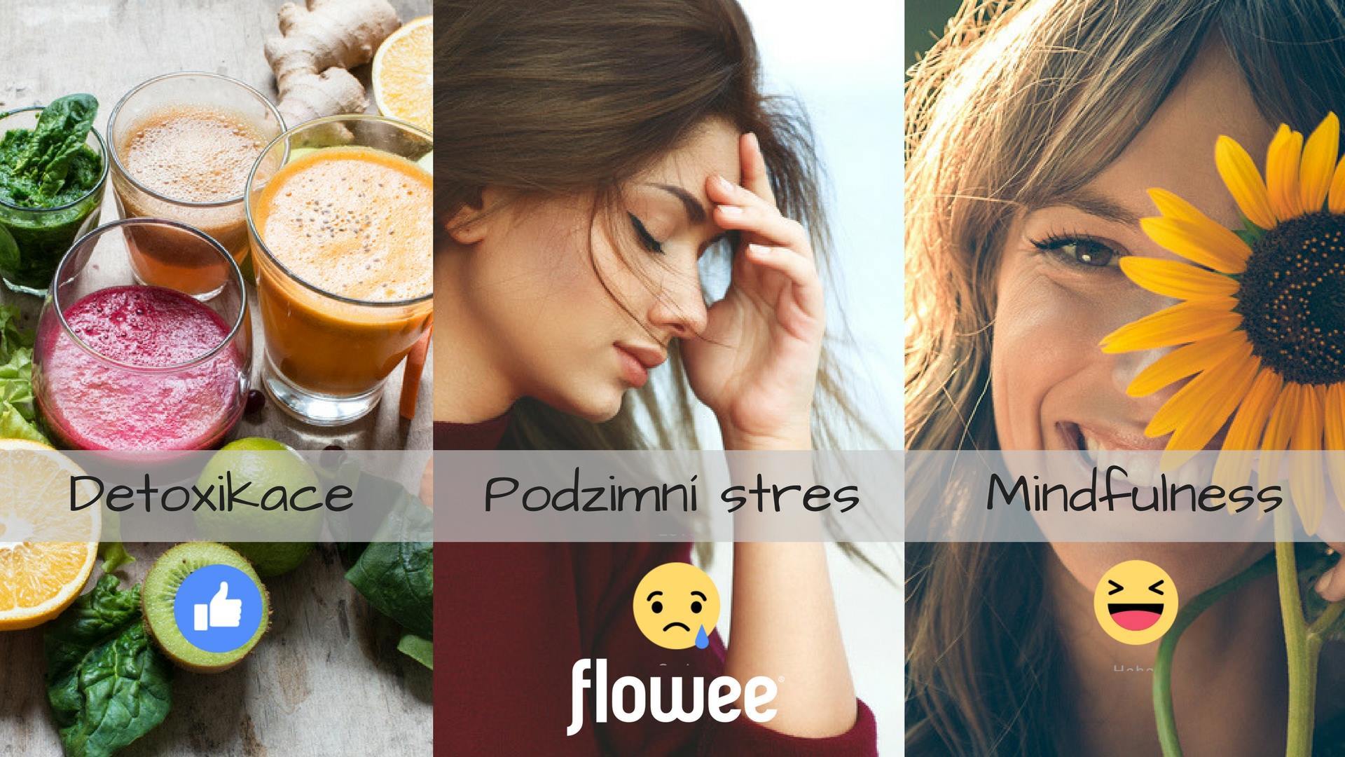fcb flowee