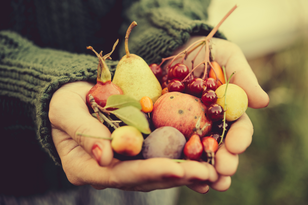 Příjem vlákniny by měl zaručit zdravé stárnutí. shutterstock 345861233