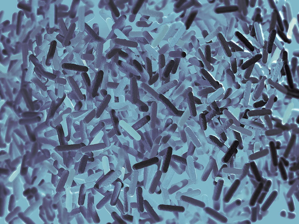 Mikrobiom představuje zásadní výbavu lidského těla důležitou pro život shutterstock 464751485