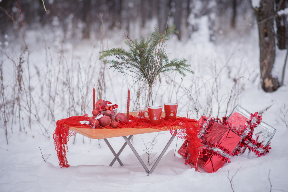 Zimní outdoorové aktivity se dají spojit i s piknikem. shutterstock 544798135