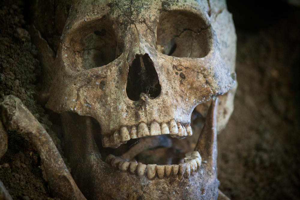 Na rozdíl od neandrtálců nemají vědci o populaci "duchů" žádné důkazy v podobě kosterních ostatků. Zdroj foto: Shutterstock shutterstock 653922100
