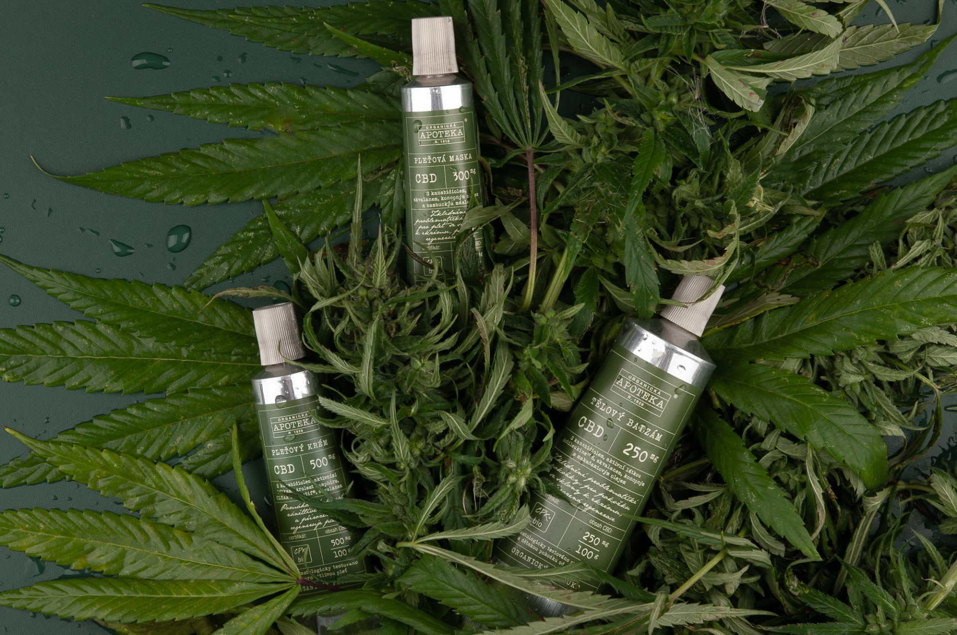 cbd rada