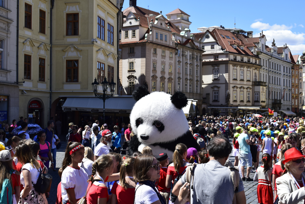 Otázka je, co má tenhle medvídek vlastně za cíl. Že by špionáž? shutterstock 1125487043