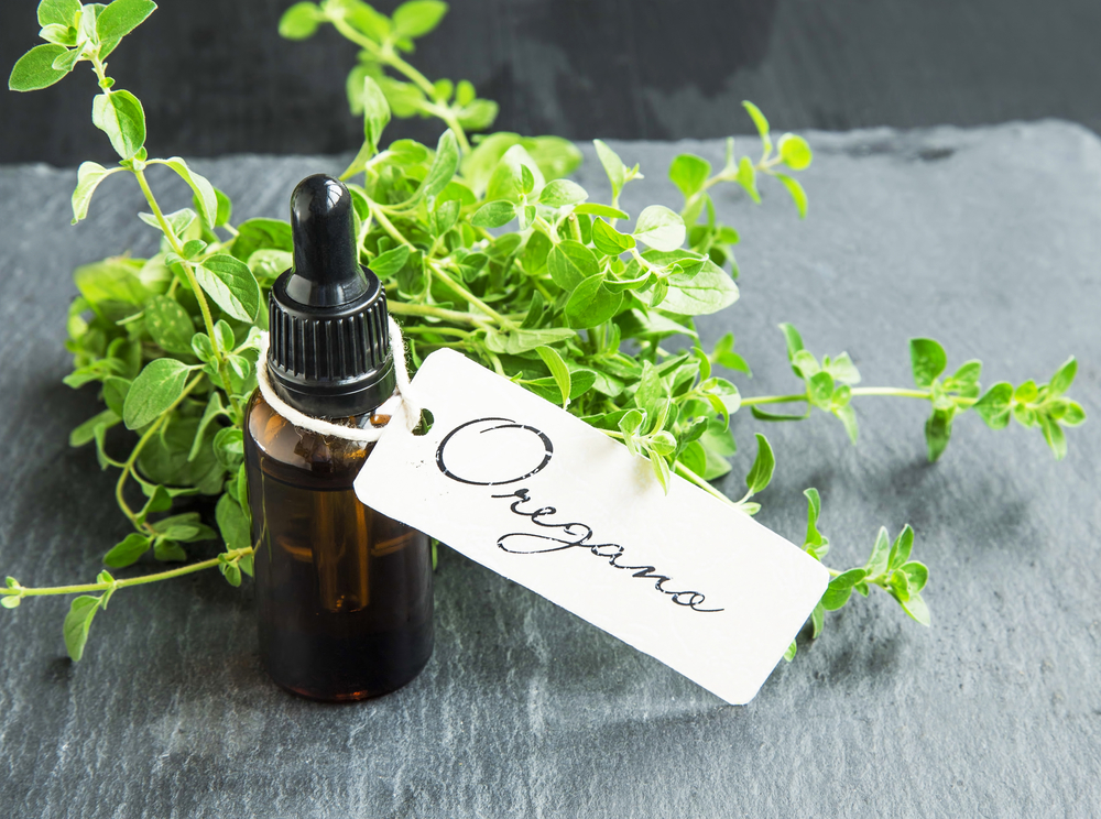 Olej z oregáná pomáhá předcházet mnohým neduhům. oregano shutterstock 454799359