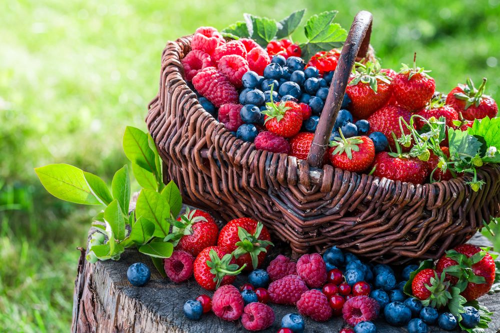 plody shutterstock 301913003
