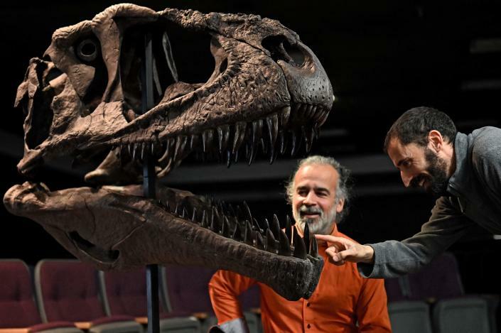 Paleontologové Sebastian Apesteguia a Pablo Gallina představují lebku nově objeveného masožravého dinosaura, pojmenovaného Meraxes gigas (zdroj: MTech News) meraxes skull