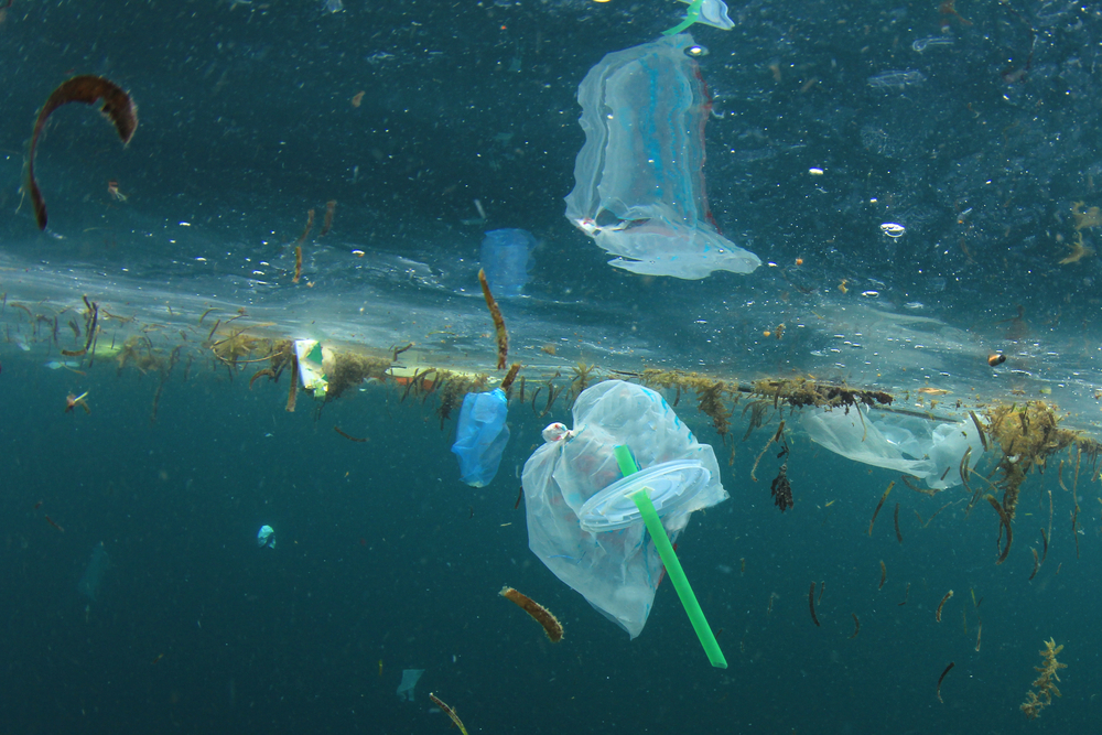 Plasty v oceánech pokrývají plochu, jakou zabírá Francie. Tedy podle těch optimističtějších odhadů plasty