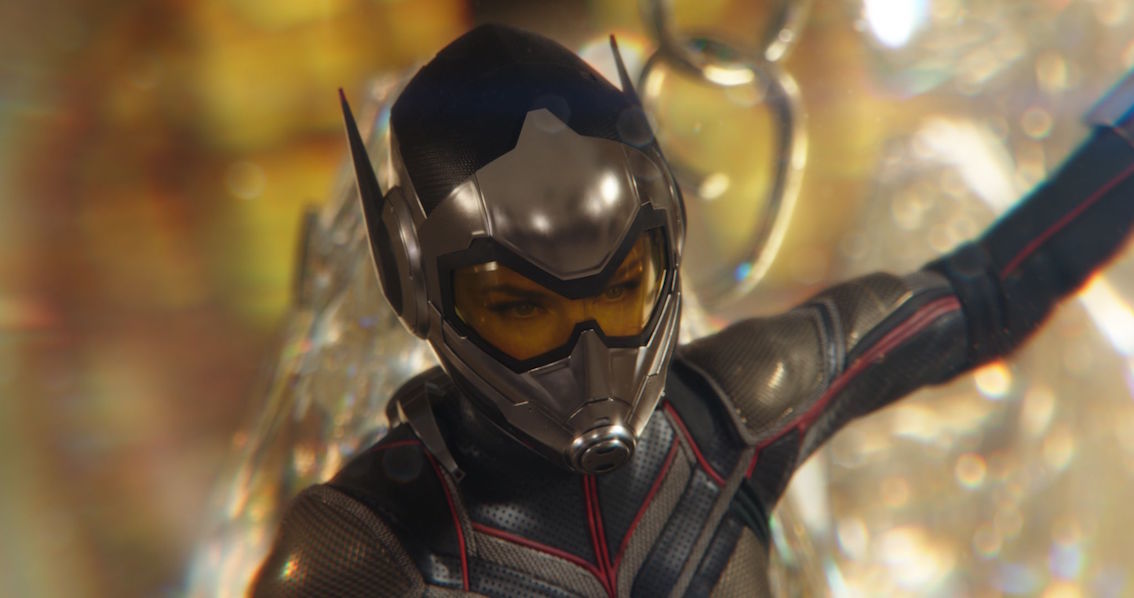 wasp
