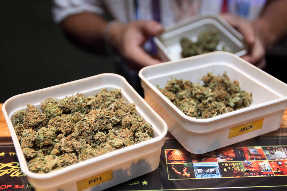 Coffee Shopy v Amsterdamu sice legálně nabízejí konopí, distribuce do nich je ale nelegální cannabis
