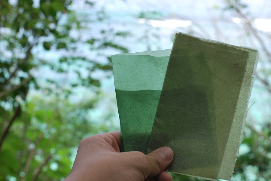 Takto vypadá obalový materiál z mořských řas. Můžete ho dát na kompost, nebo sníst seaweed based packaging
