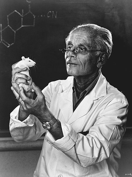 Hans Selye stres
