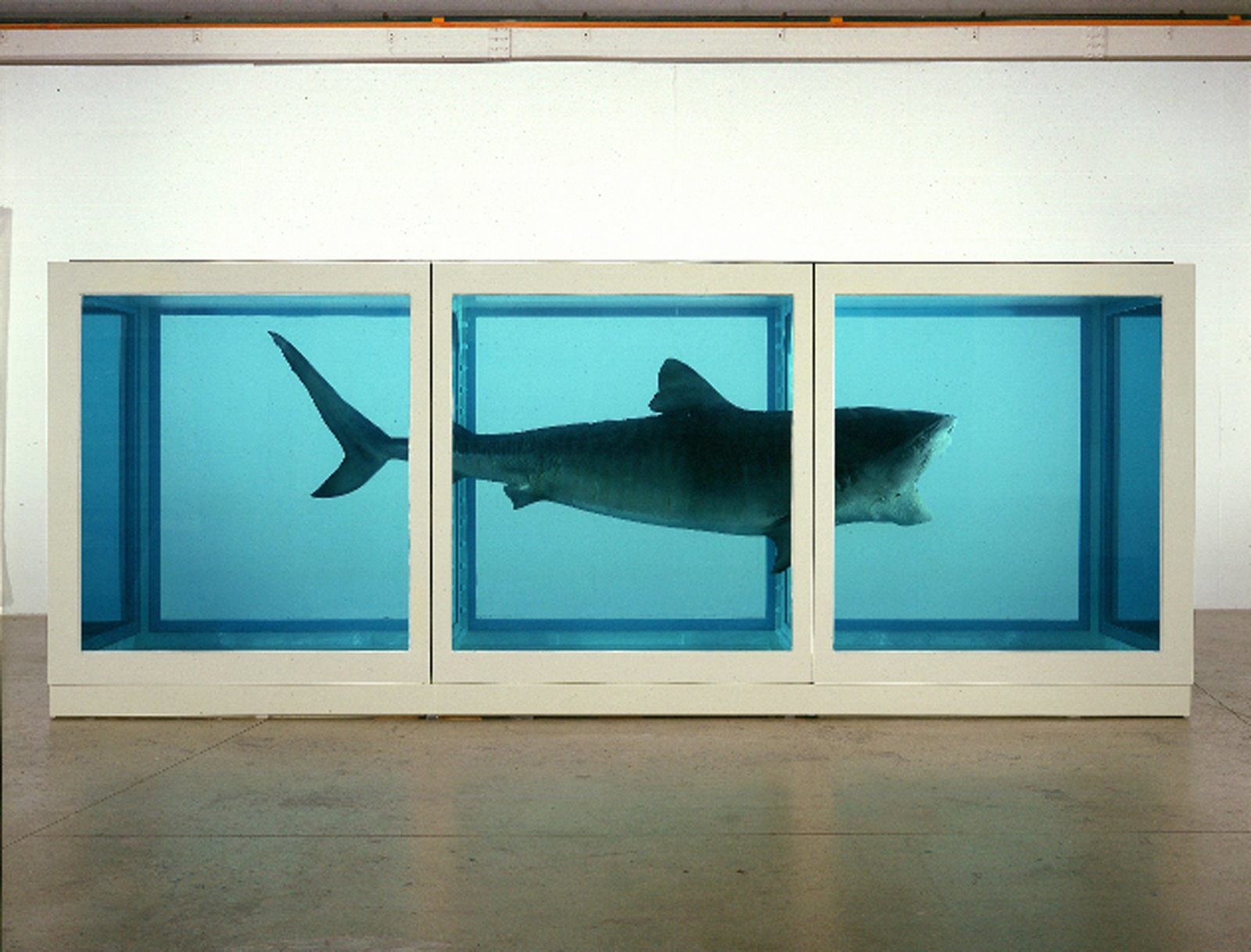 damienhirst zralok