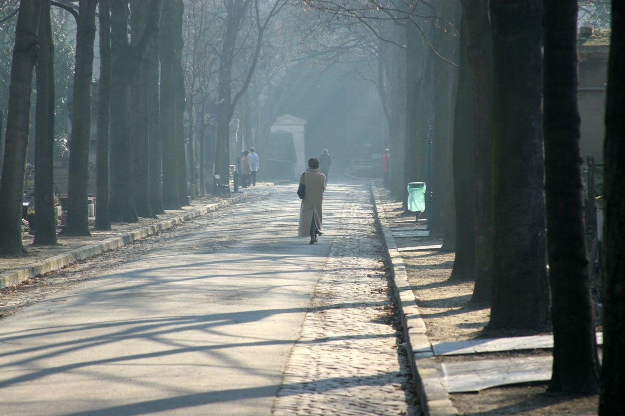 Podzim na jedné z hlavních stezek hřbitova na Montmartru hrbitov montmartre 0091116727