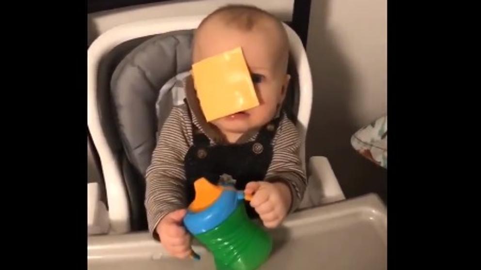 cheese 2