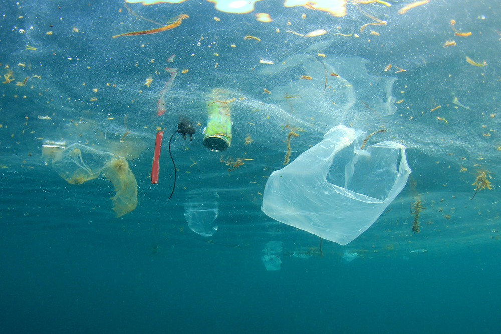Během svlažování se můžete něco dovědět i o znečištění oceánů plast voda 556842991