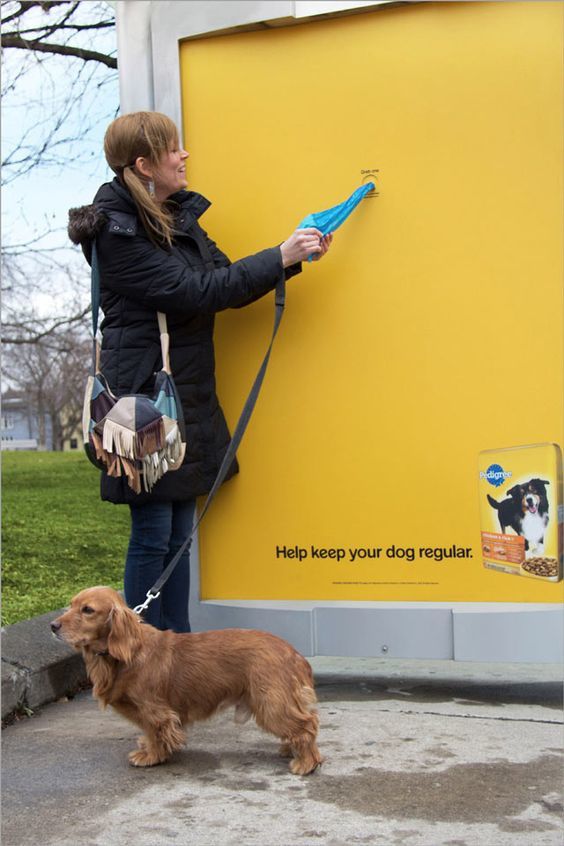10 pejsek uklid s pedigree