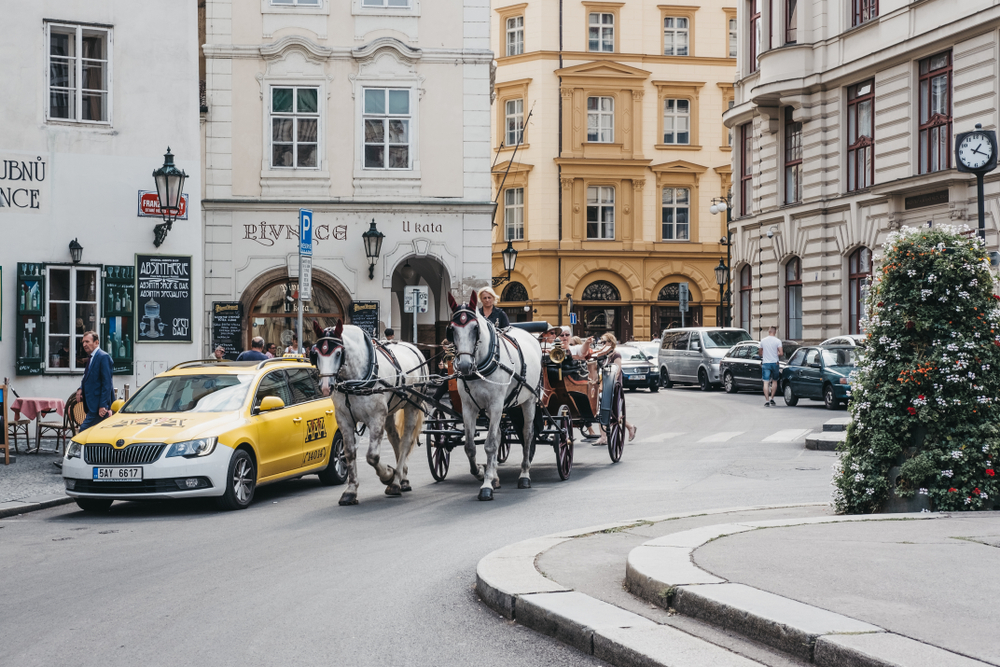 Drožky k Praze tak nějak patří. Pořád lepší než některé dročky kone praha 1259079517
