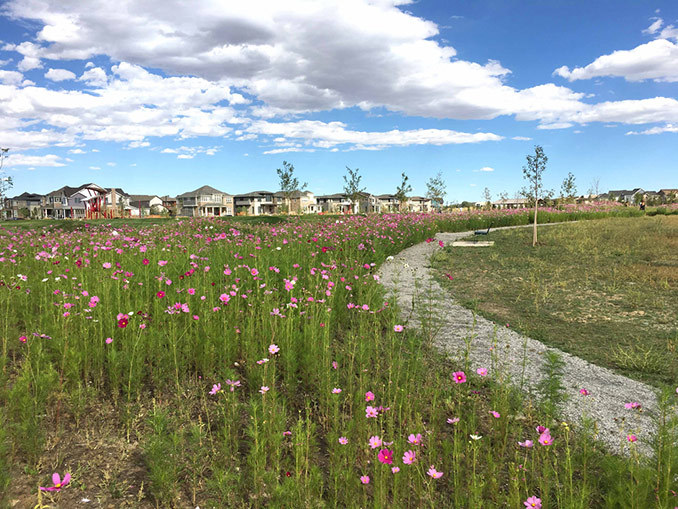 Takhle vypadá bývalé letiště Stepleton v Denveru. Domov tu našlo na 50 tisíc lidí stapleton brownfield