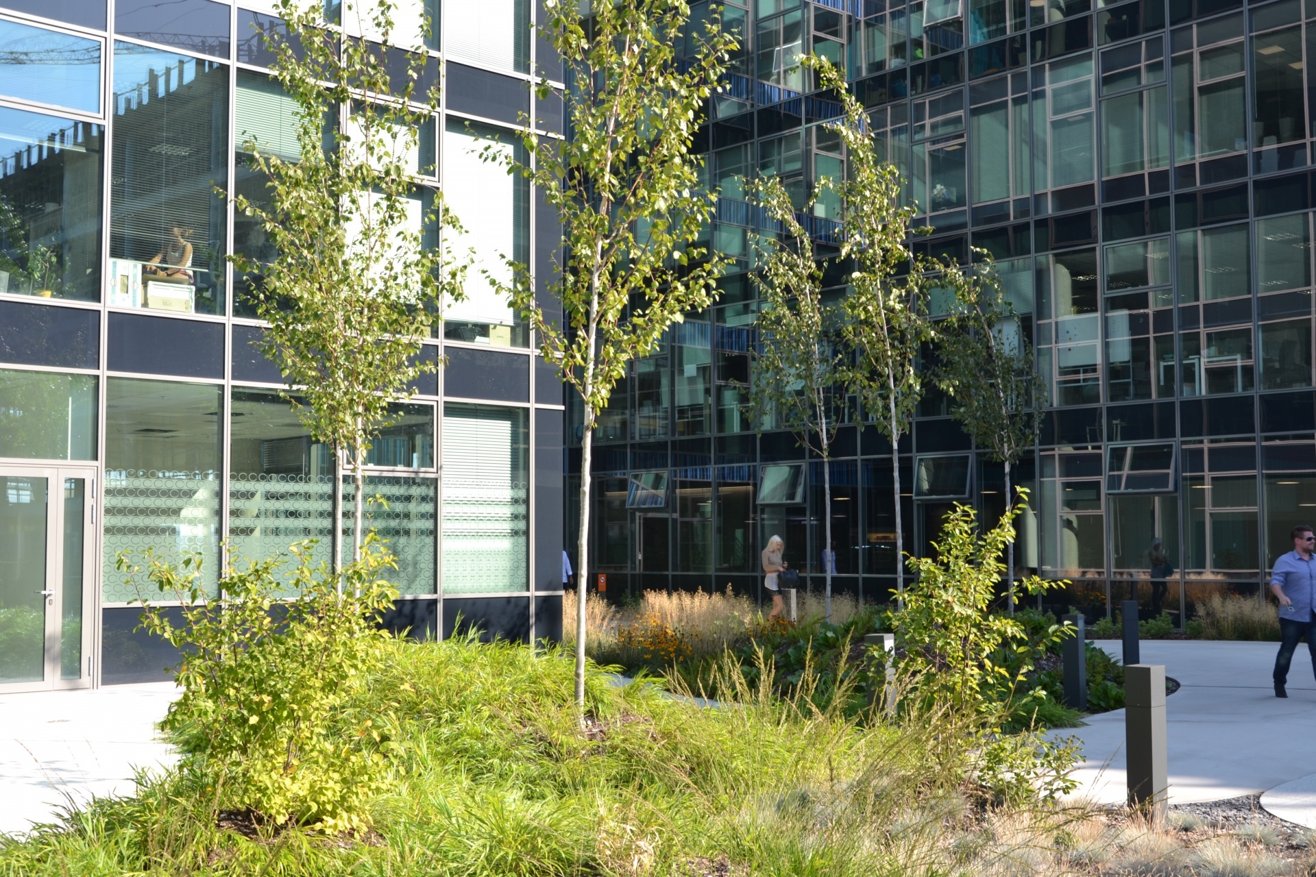 Náměstíčko na střeše podzemního parkoviště Campus Science Park v Brně strechy campus