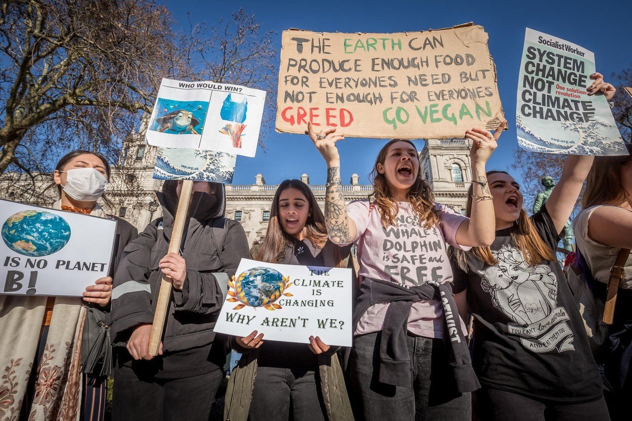 I nedávných protestů ve Westminsteru se účastnily tisíce školáků a studentů stavaka 0415246559