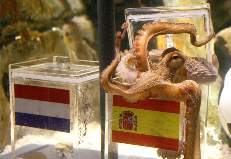 Chobotnice jsou známé tím, že jsou schopny odšroubovat víko nebo otevřít kryt nádob, do kterých jsou umístěny (zdroj: Shutterstock) octopus