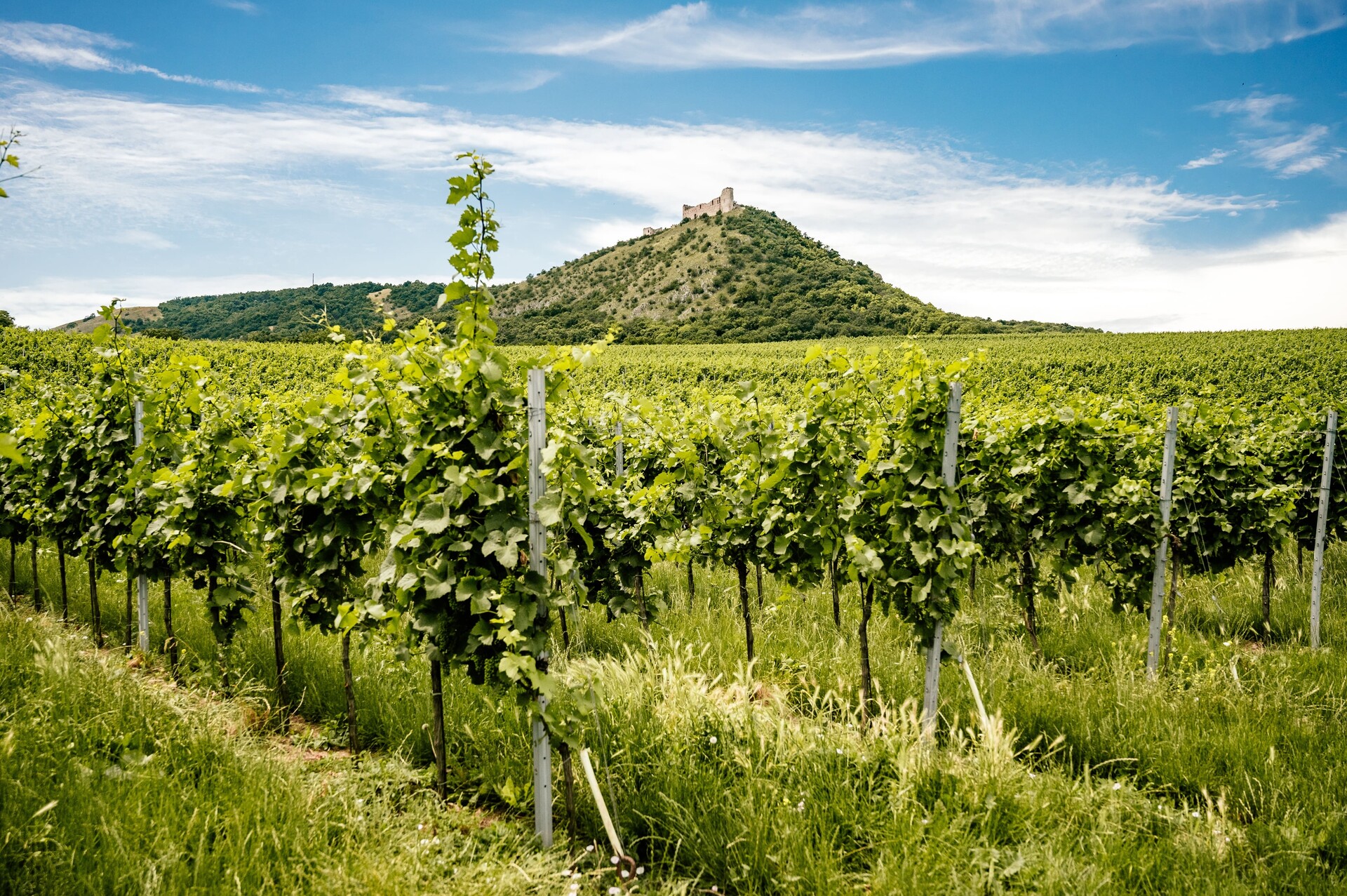 Pavlov (zdroj: Shutterstock) pavlov morava shutterstock min