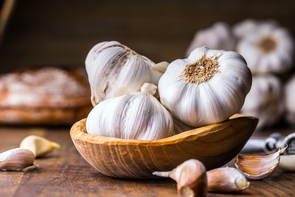Česneku se ne nadarmo říká přírodní antibiotikum. cesnek shutterstock 552242461