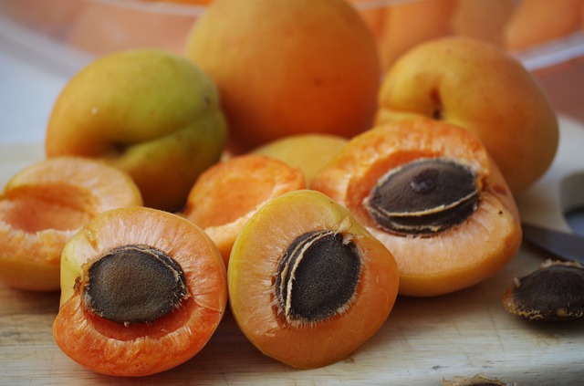 apricots 1502169 640